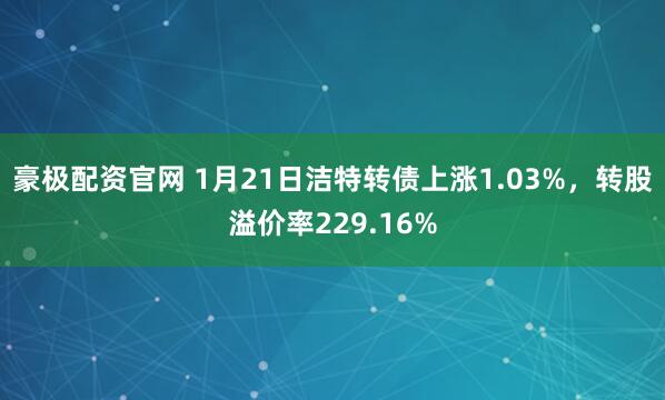 豪极配资官网 1月21日洁特转债上涨1.03%，转股溢价率229.16%