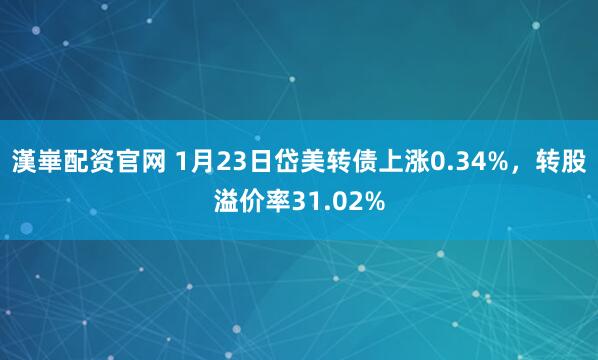 漢崋配资官网 1月23日岱美转债上涨0.34%，转股溢价率31.02%